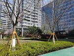 高端建筑