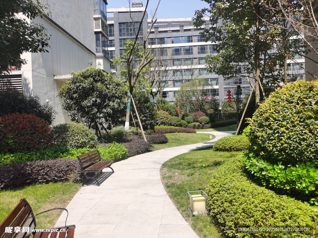 小区道路