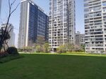小区绿化
