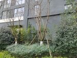 建筑外观