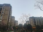小区洋房