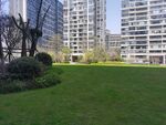 小区草坪