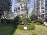 建筑园林