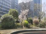 小区