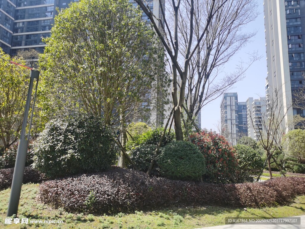 小区园林