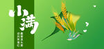 小满节气海报