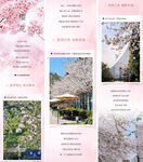 樱花季长图