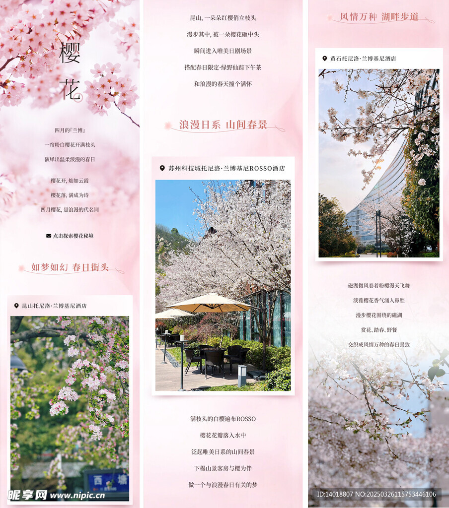 樱花季长图