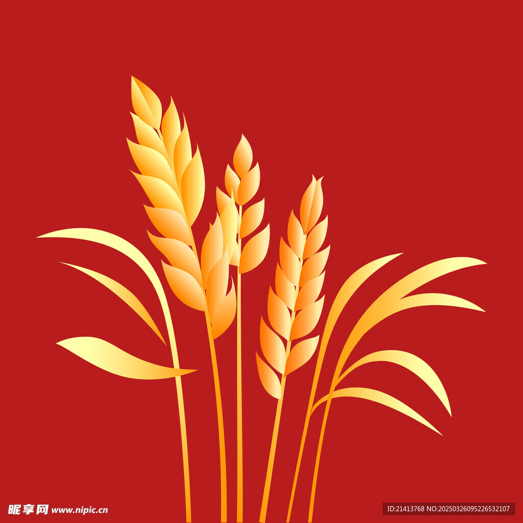 稻穗麦穗素材 