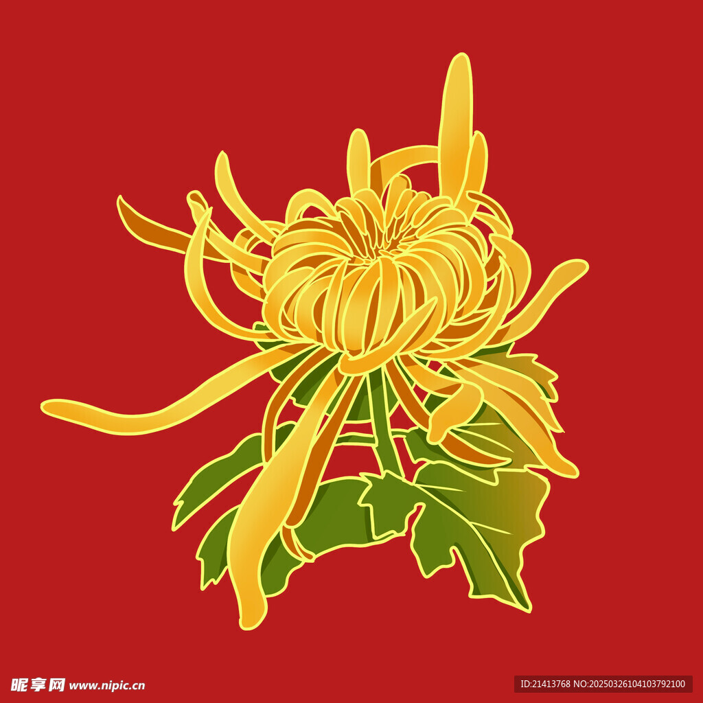 手绘菊花 
