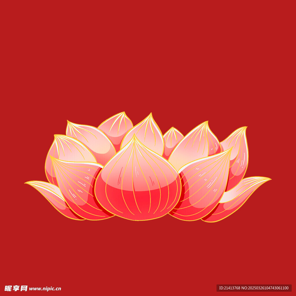 荷花莲花花卉 