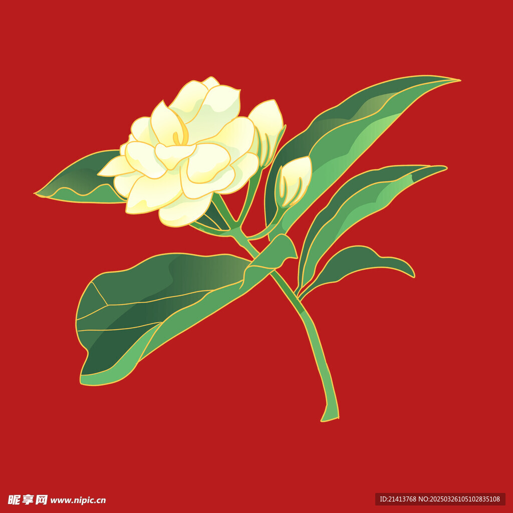 茶花花朵花卉