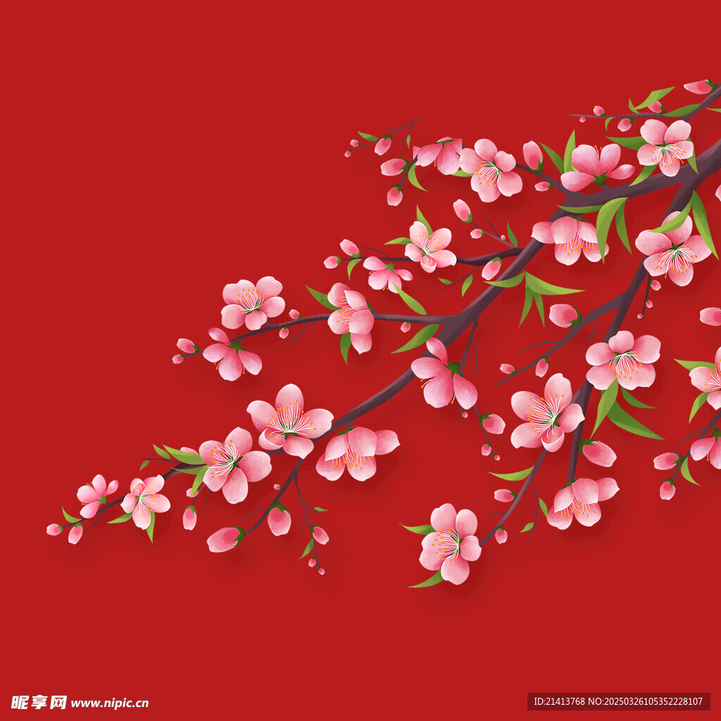 腊梅寒梅梅花