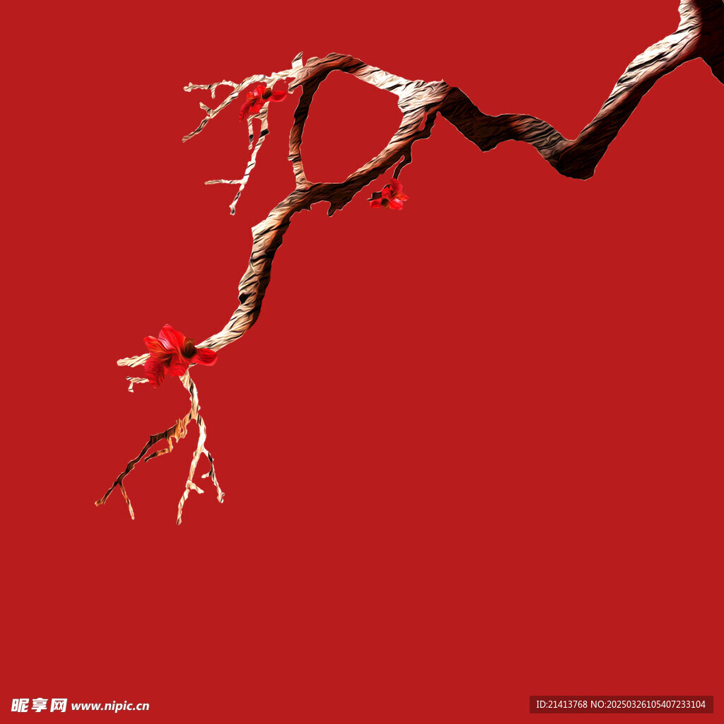 腊梅寒梅梅花 