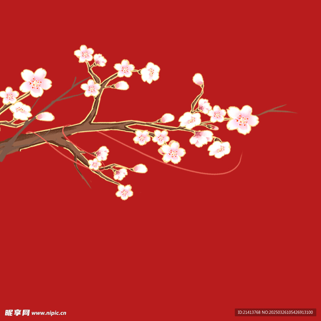 腊梅寒梅梅花