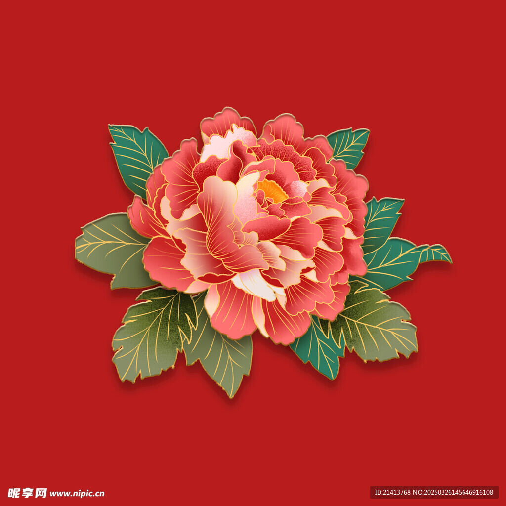 花朵牡丹花