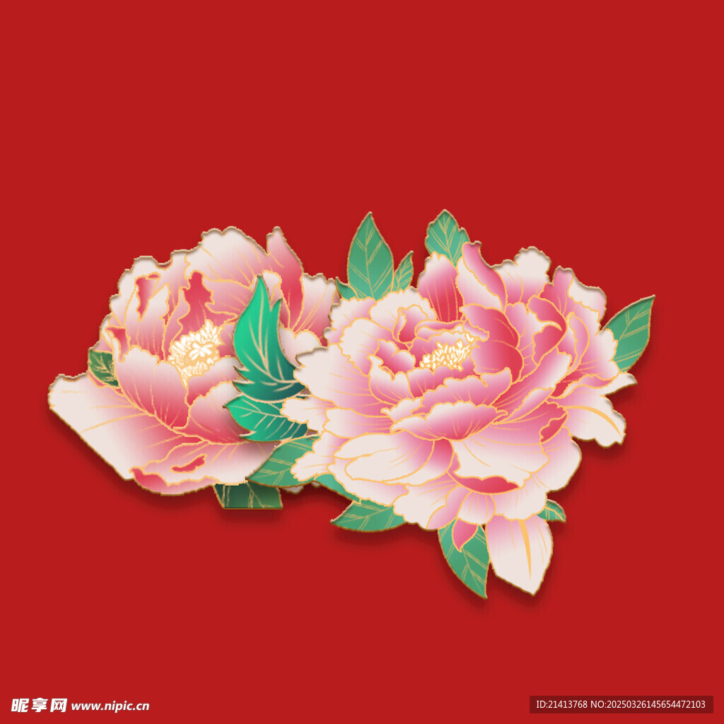 花朵牡丹花