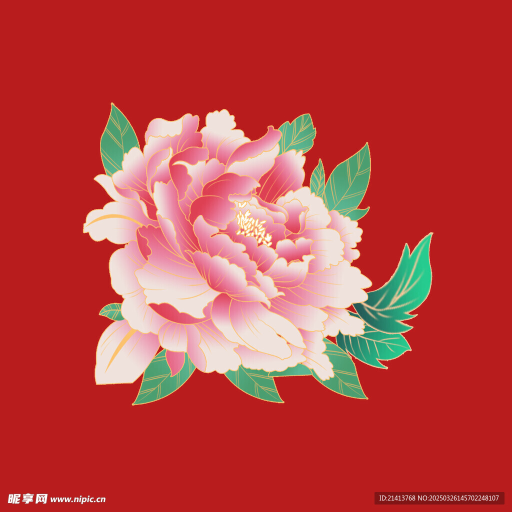 花朵牡丹花 
