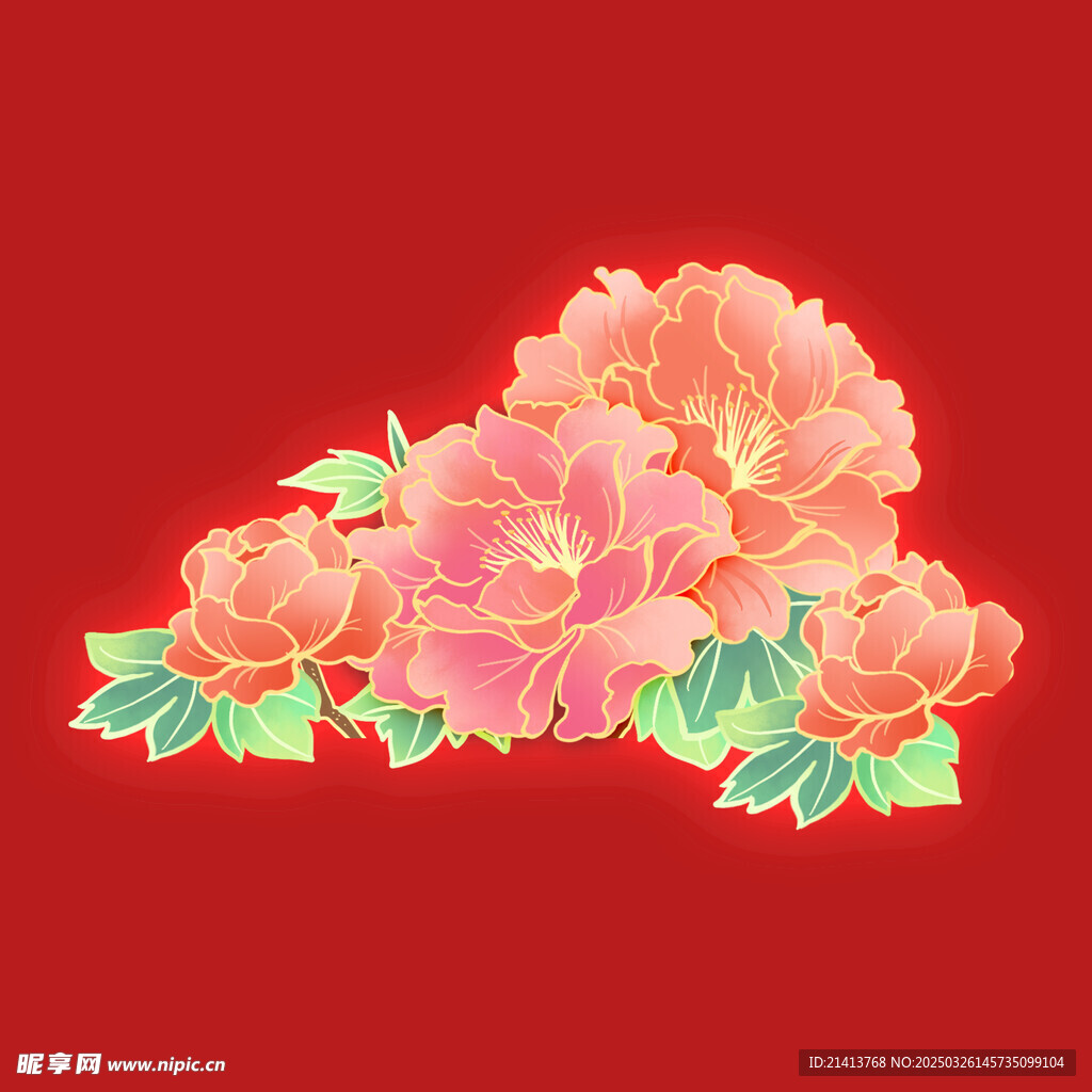 花朵牡丹花 