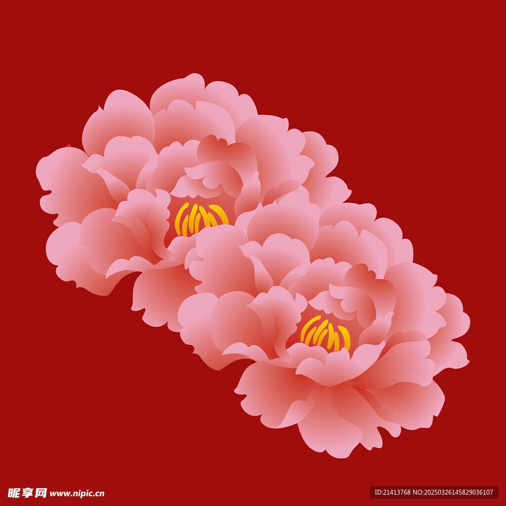 花朵牡丹花 
