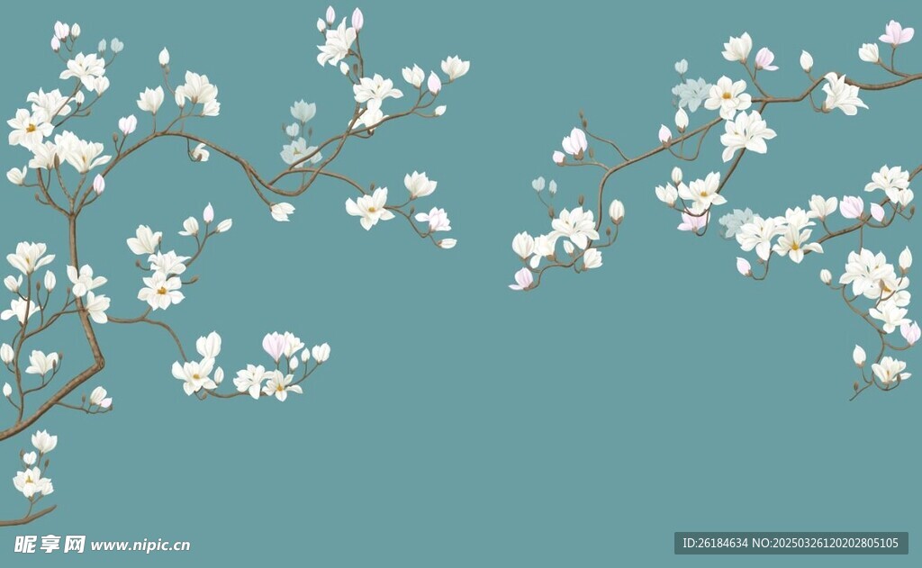 花鸟图
