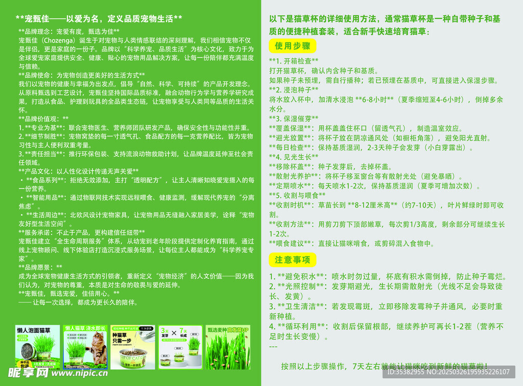 泡面猫草种植指南反面