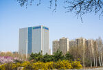 城市建筑群