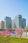城市建筑大厦