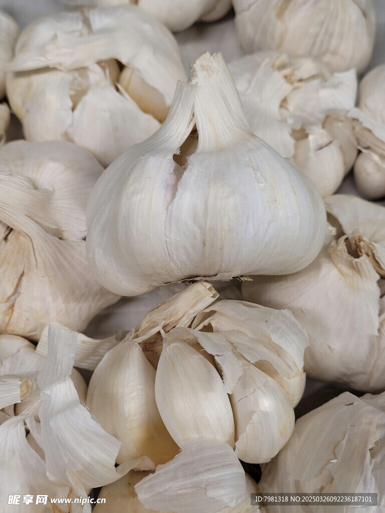 蒜