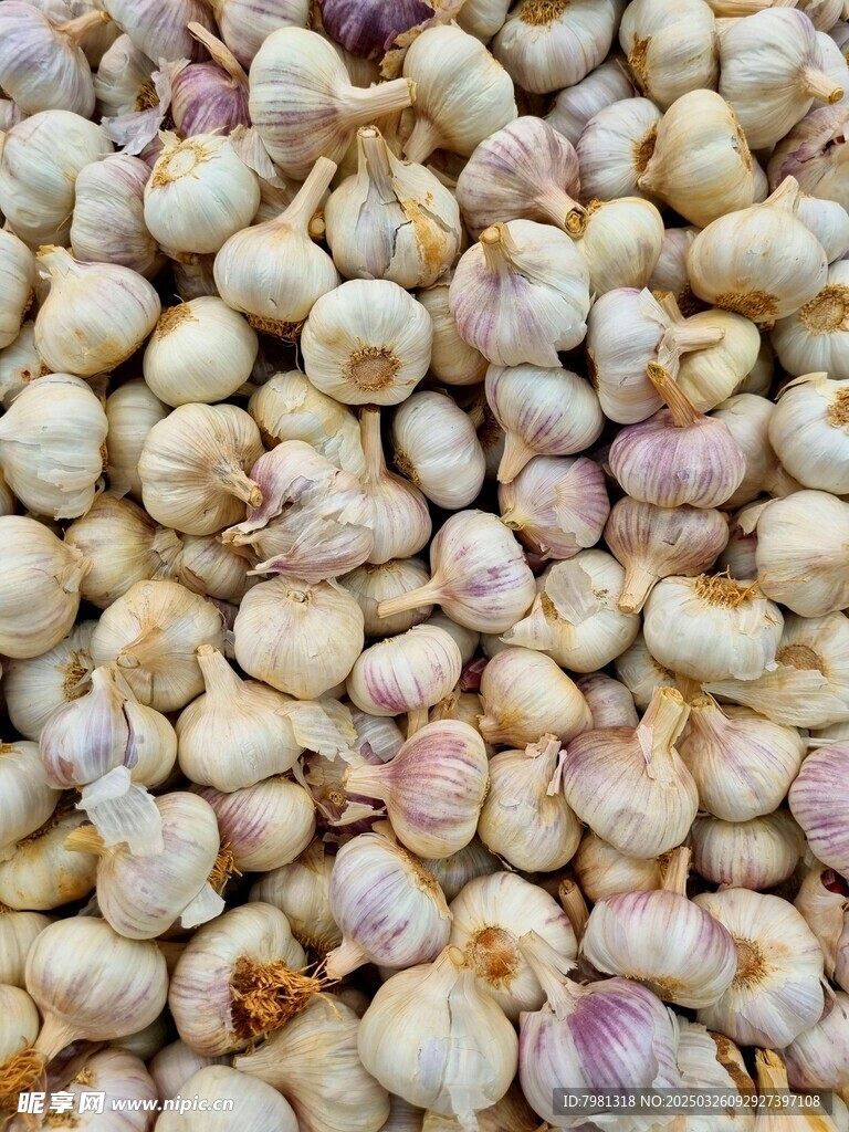 蒜