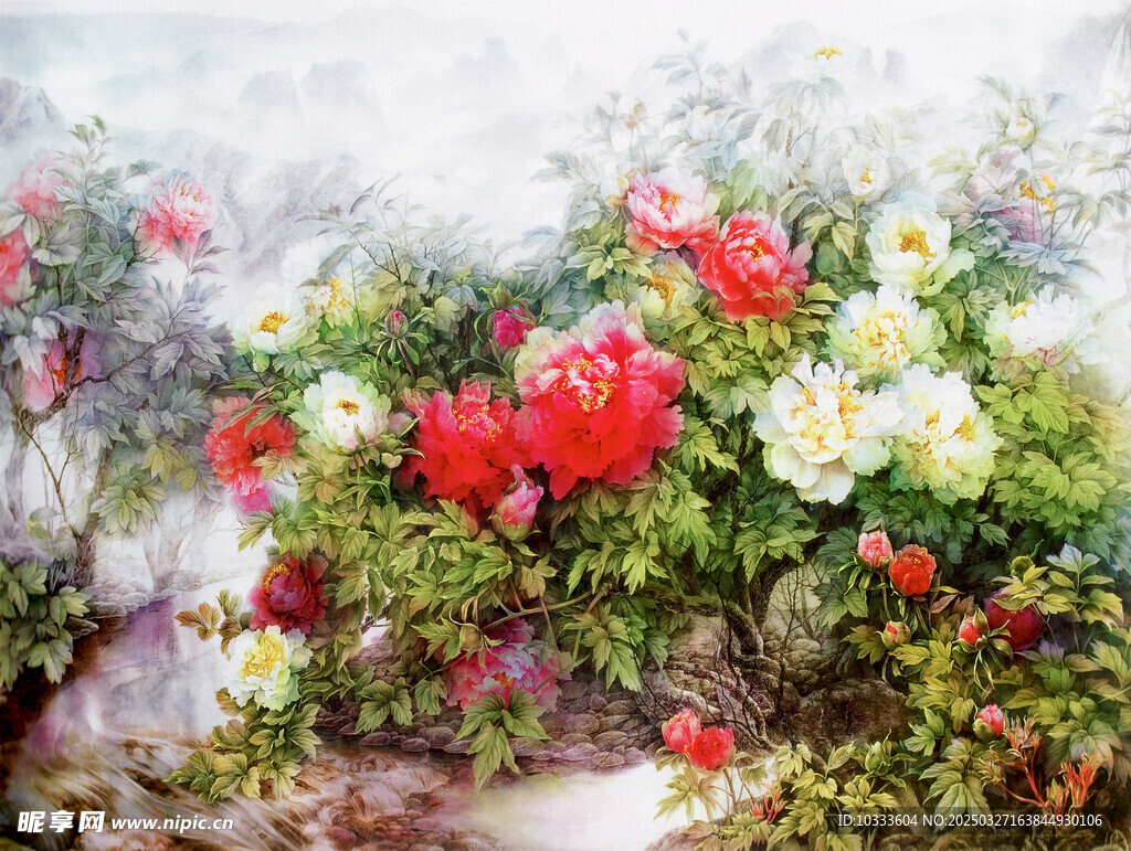 牡丹花
