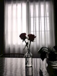花苞