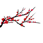 梅花