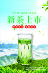 新茶上市 春茶 