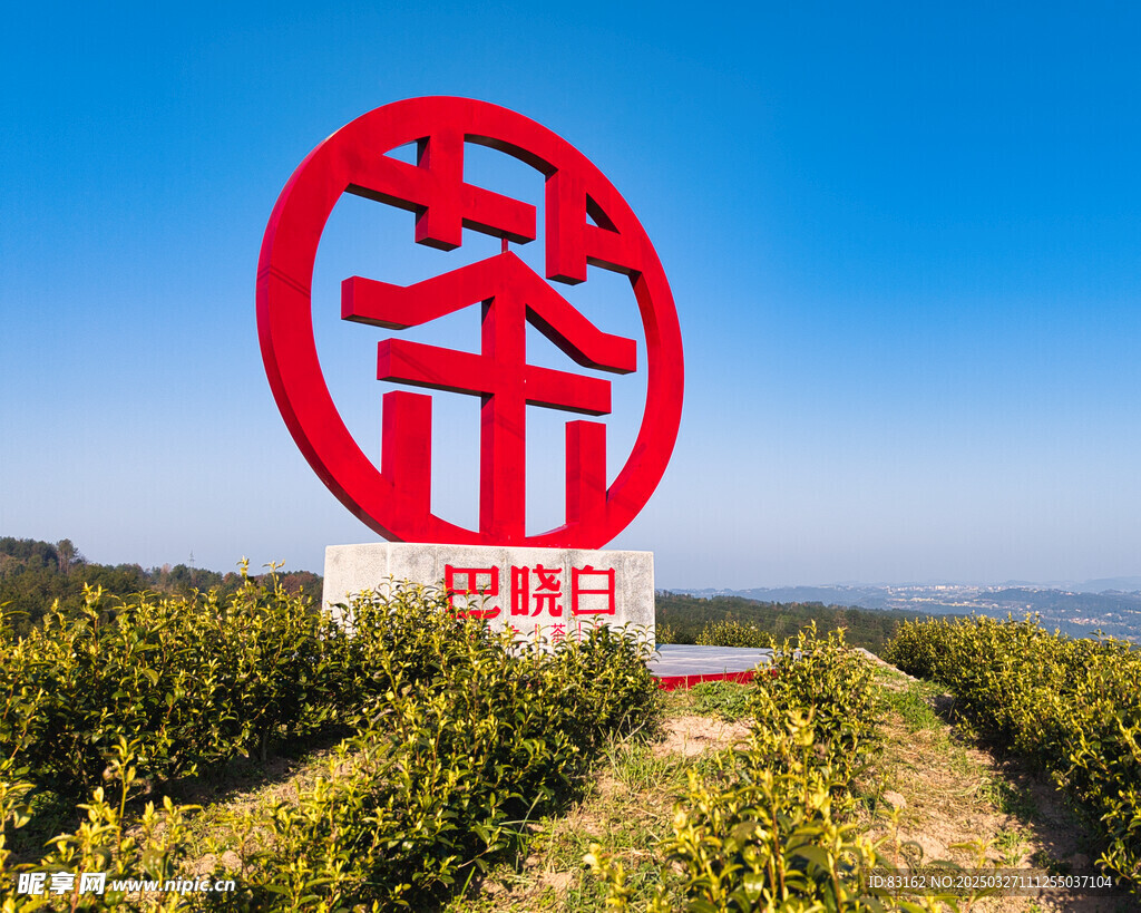 茶 
