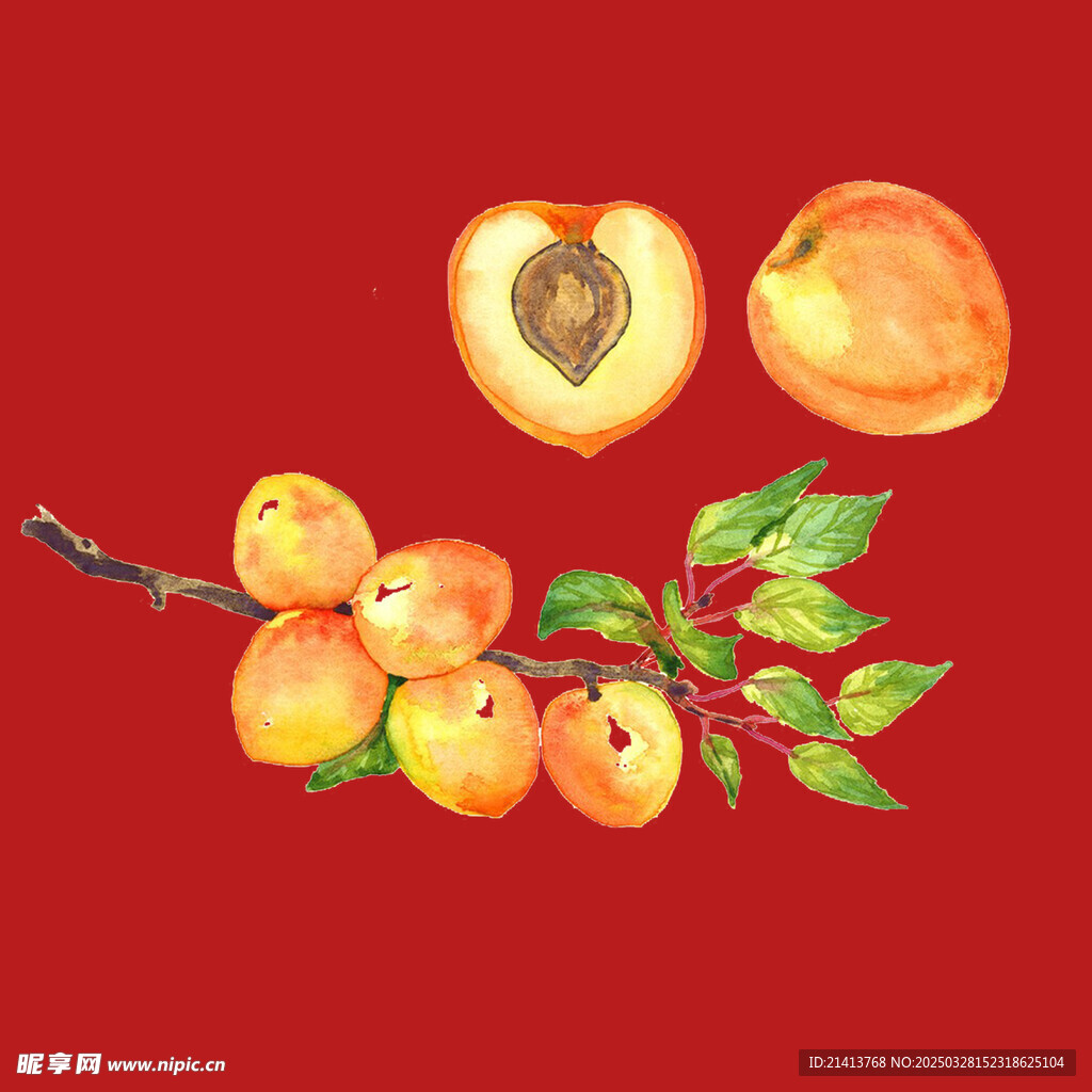 水果黄桃 