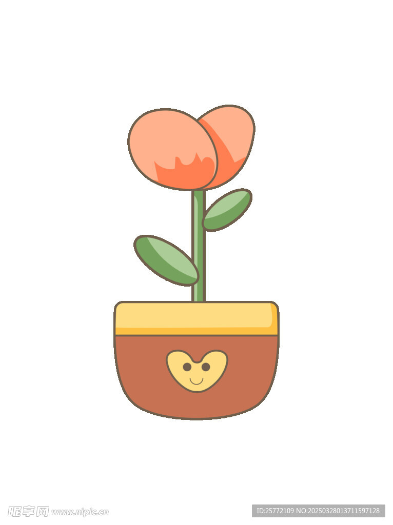 郁金香花朵盆栽