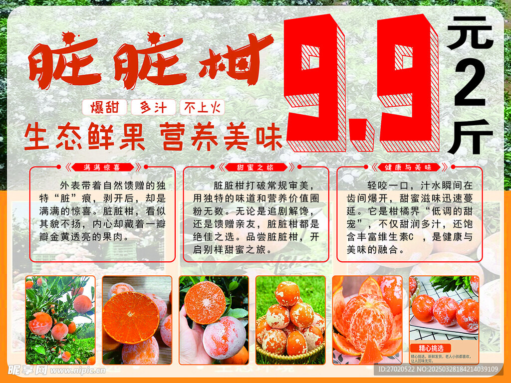 石灰柑 脏脏柑