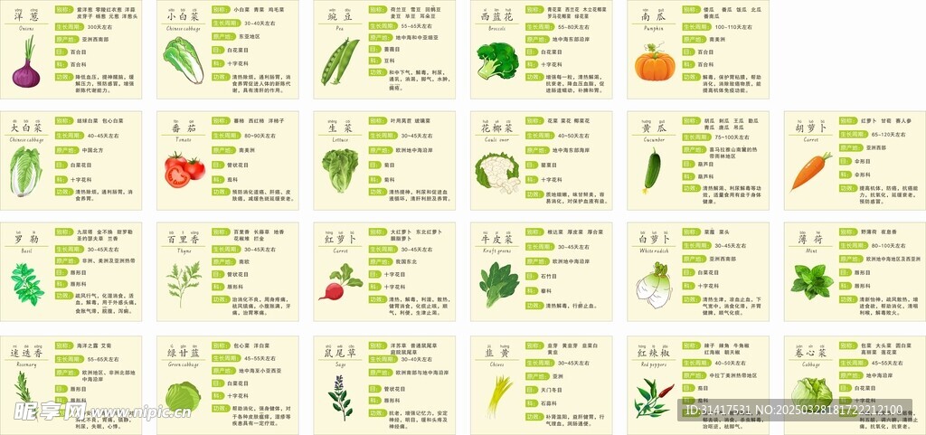 校园蔬菜介绍