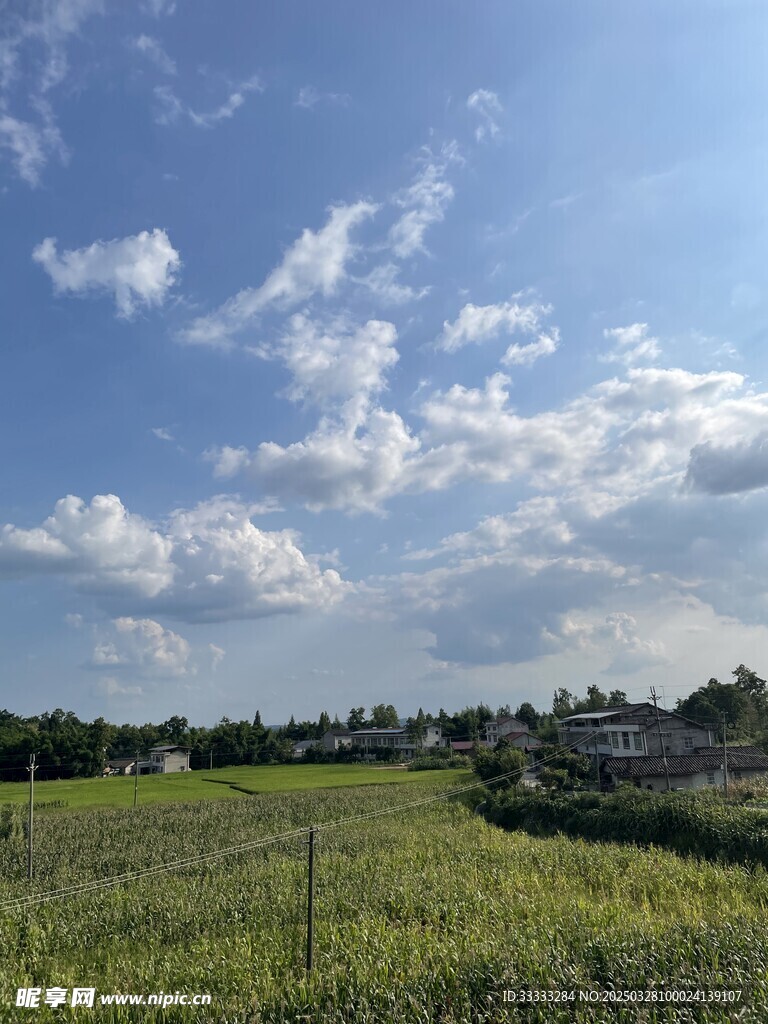 农村风景