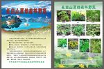 长白山单页