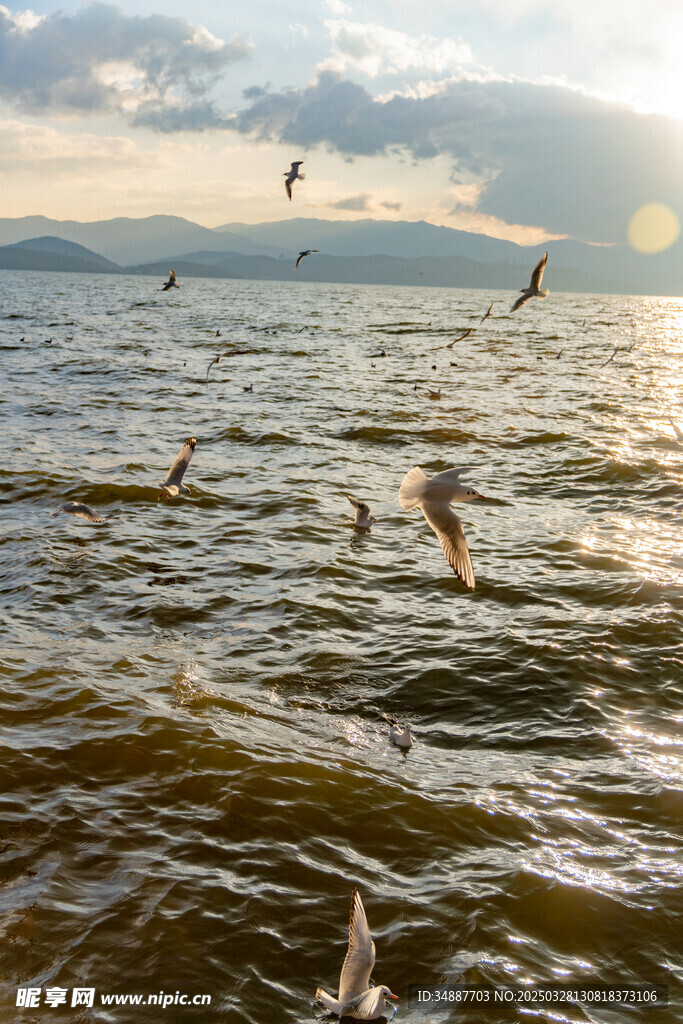 洱海