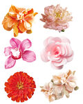 鲜花             