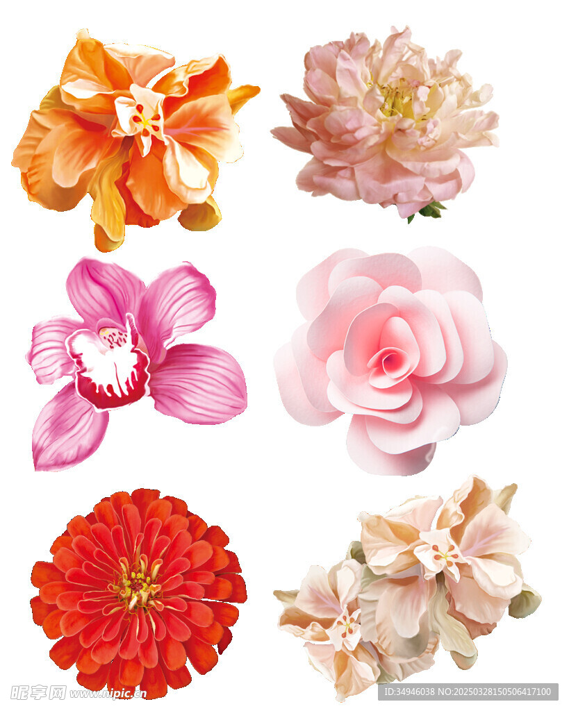鲜花             