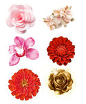 鲜花             