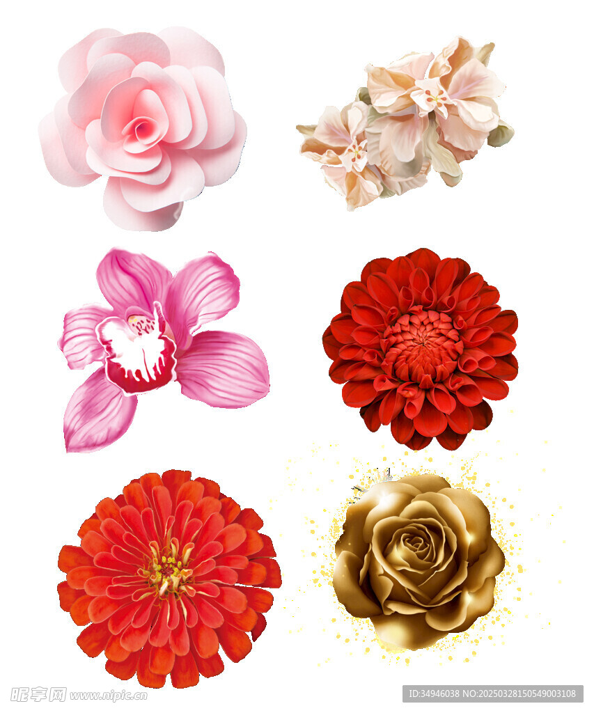 鲜花             