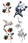鲜花             