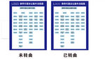 律师代理诉讼案件流程图