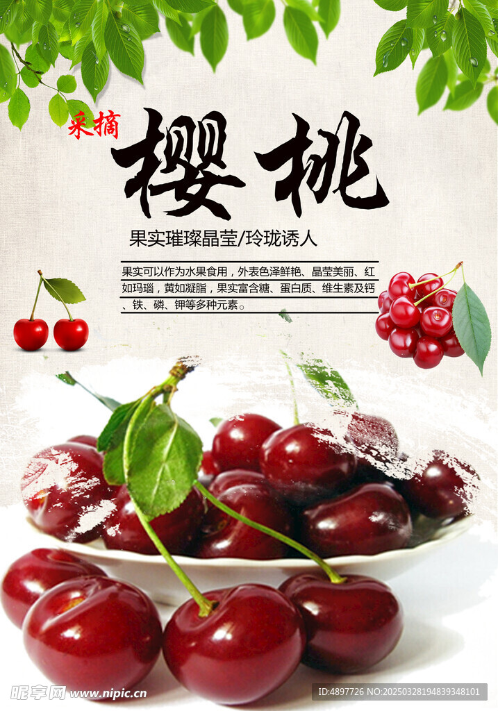 櫻桃