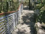 山间小道